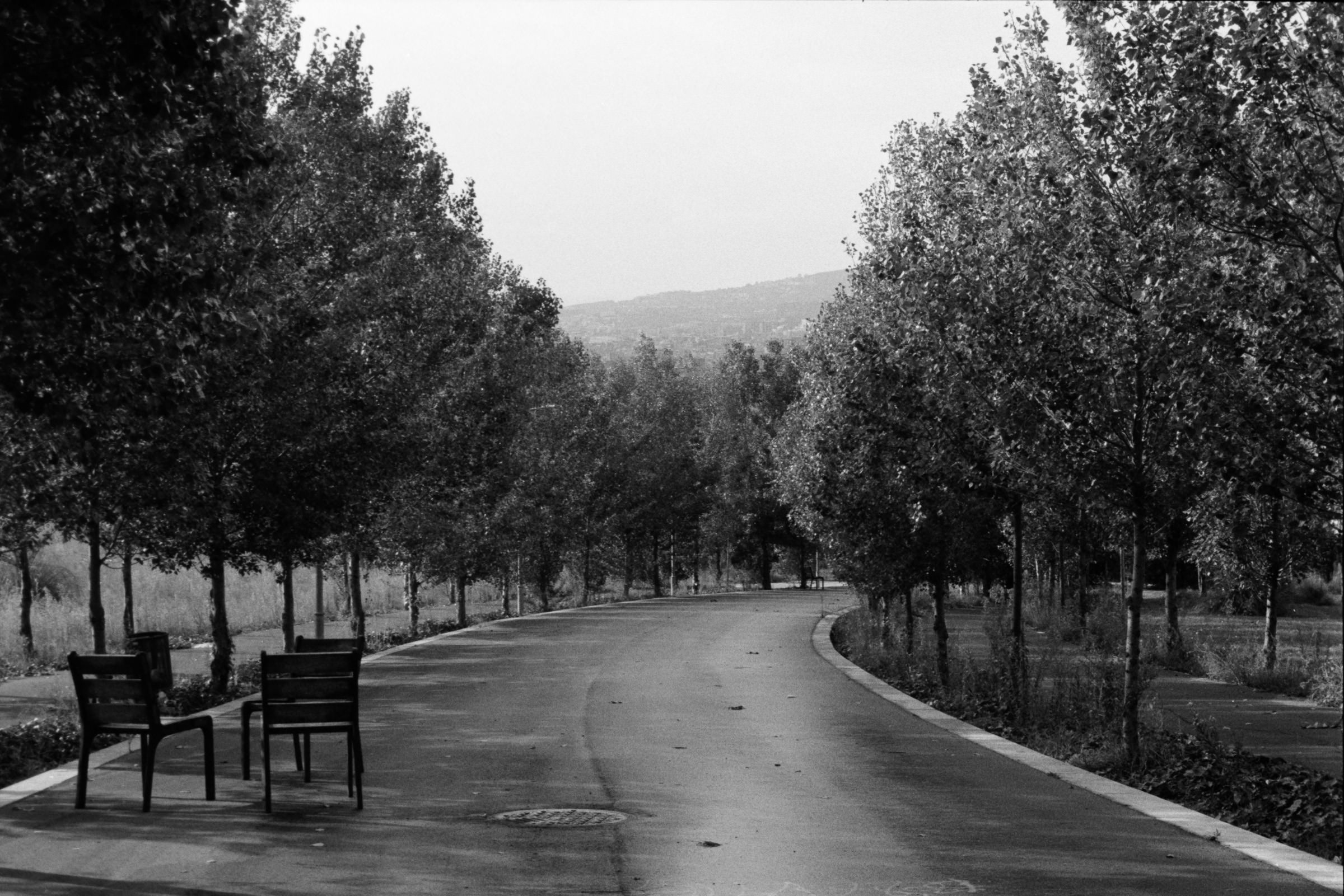 AHP F1995 10 001 sc240815 img26 NLP